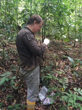 Paul Eggleton博士抽樣研究雨林中的白蟻。
